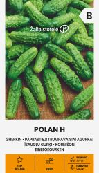 Gherkin Polan F1 Seed.